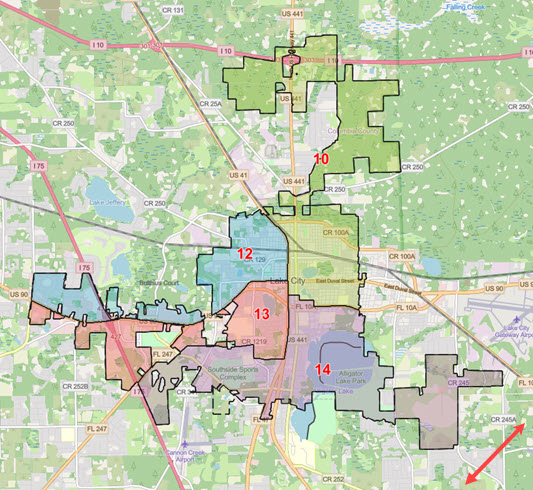 Lake City voting districts