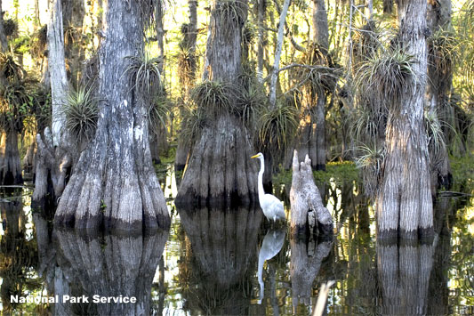 Everglades National Park