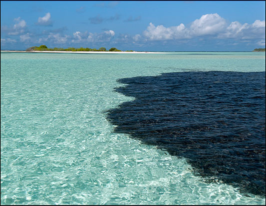 Pristine Gulf waters