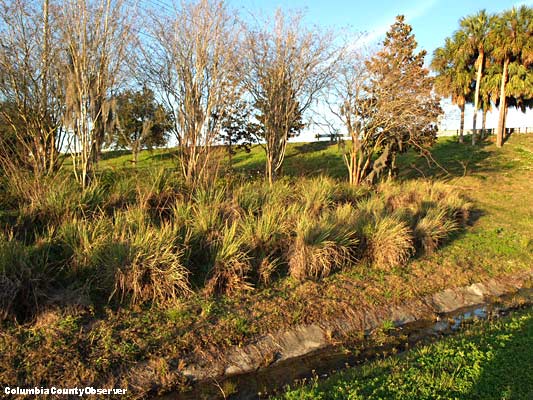 DOT will rip out this landscaped area and re-do it - for free.