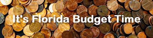image of lots of pennies with a title that reads: It's Florida Budget Time