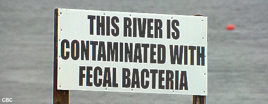 sign by river: This river is contaminated with fecal gacteria