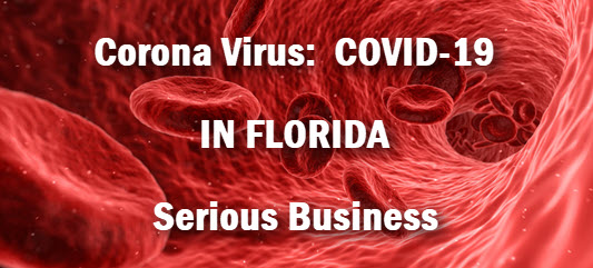 Image of inside blood vessel with copy: corona virus in Florida