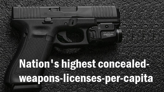 Hand gun with copy: [Florida] nation's highest concealed-weapons-licenses-per-capita