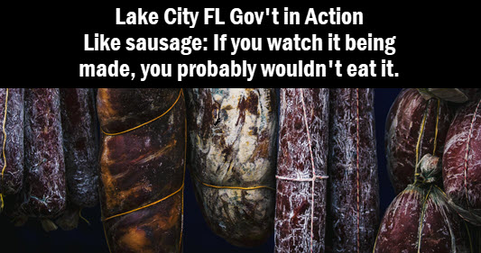 photo of sausage with copy: Lake City FL Gov't in Action. Like suasage: If you watch it being made, you probably wouldn't eat it.