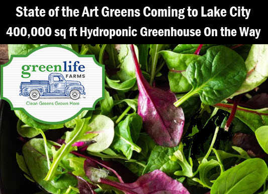 Greenlife Farms leafy lettuce with caption: state of the art greens coming to Lake City. 400,000 sq foot hydroponic greenhouse on the way.