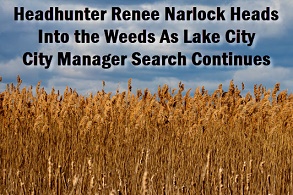 Photo of weeds on beach island with caption: Headhunter Renee Narloch heads into the weeds as Lake City City Manager search continues