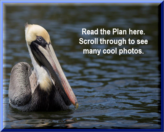 Link to the Nature Coast Aquatic Preserver Management Plan