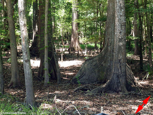 Rum Island Park: a wonder of nature.