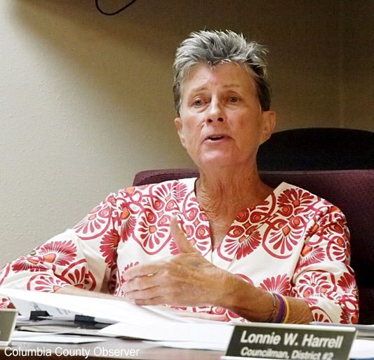 Councilwomn Terry makes another point after jumping in without being recognized.